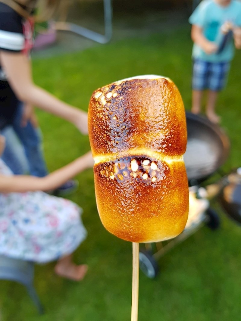 Izgled ovog sljezovog kolačića s roštilja