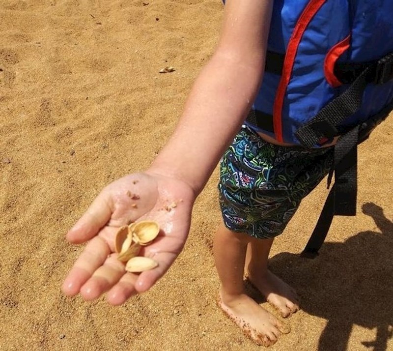 "Nisam mu imao srca reći da to nisu školjke..."