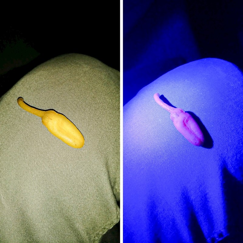 Ova papričica postala je ružičasta