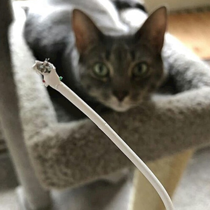 "Što mene gledaš?"