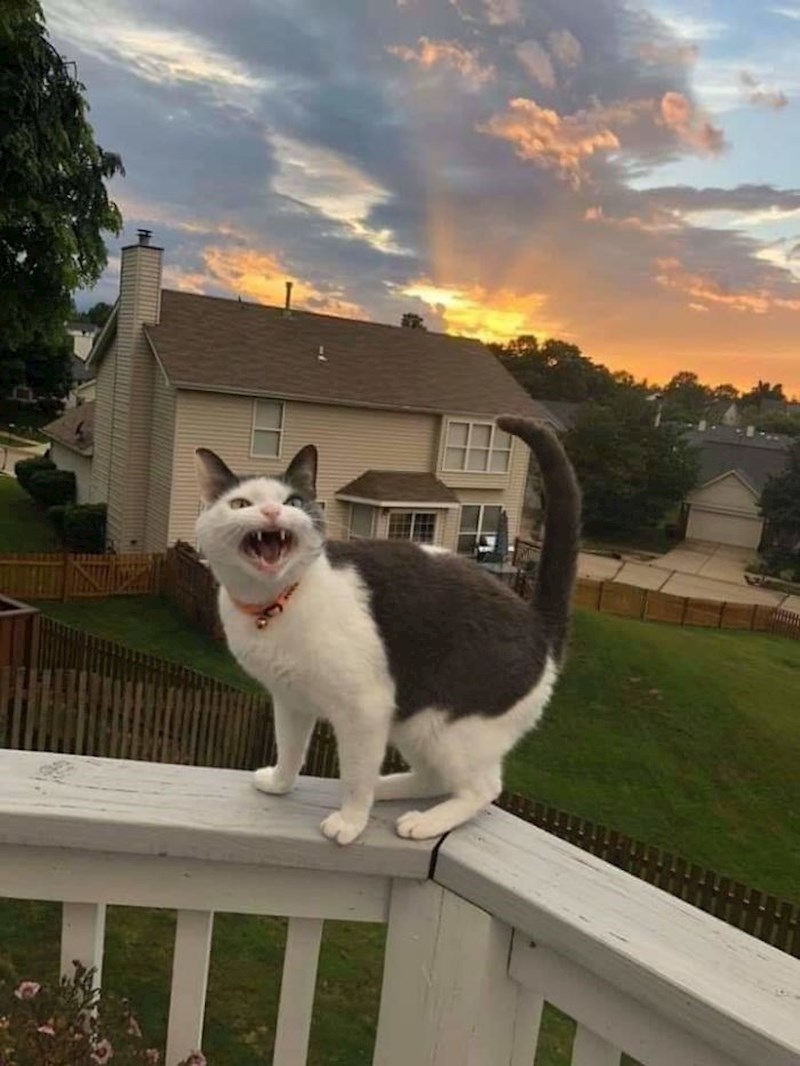 Ne sviđa joj se zalazak sunca