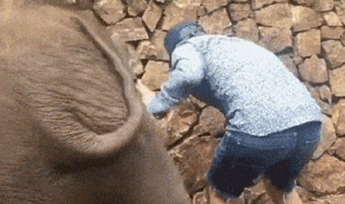 Ovaj slon ima više smisla za humor od gomile ljudi