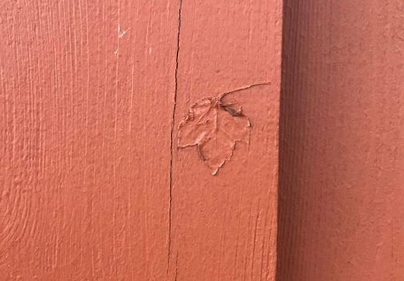 Naišli su na list i samo ga prebojali