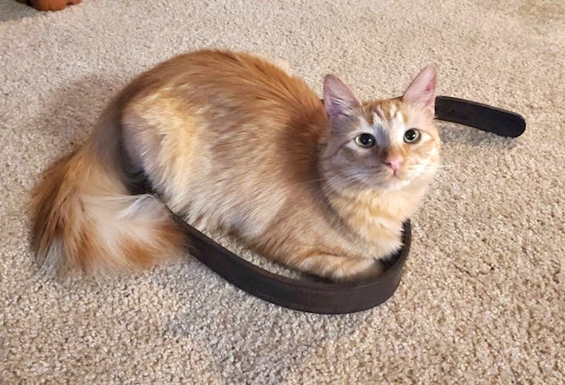 "Sekunda nakon što sam bacio remen na pod..."