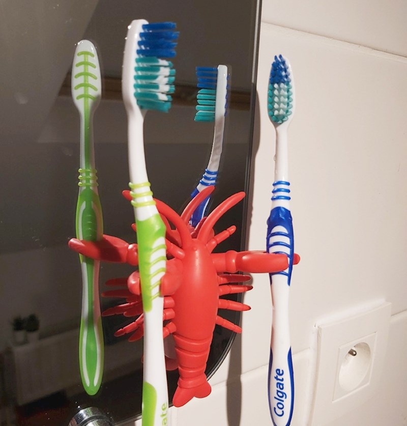 Držač četkica za zube