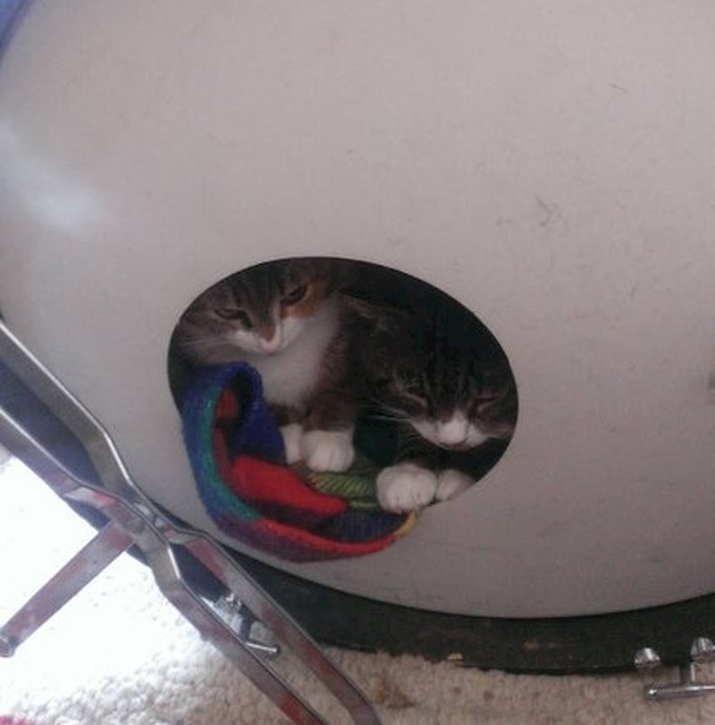 Reci nam da nas puno voliš!