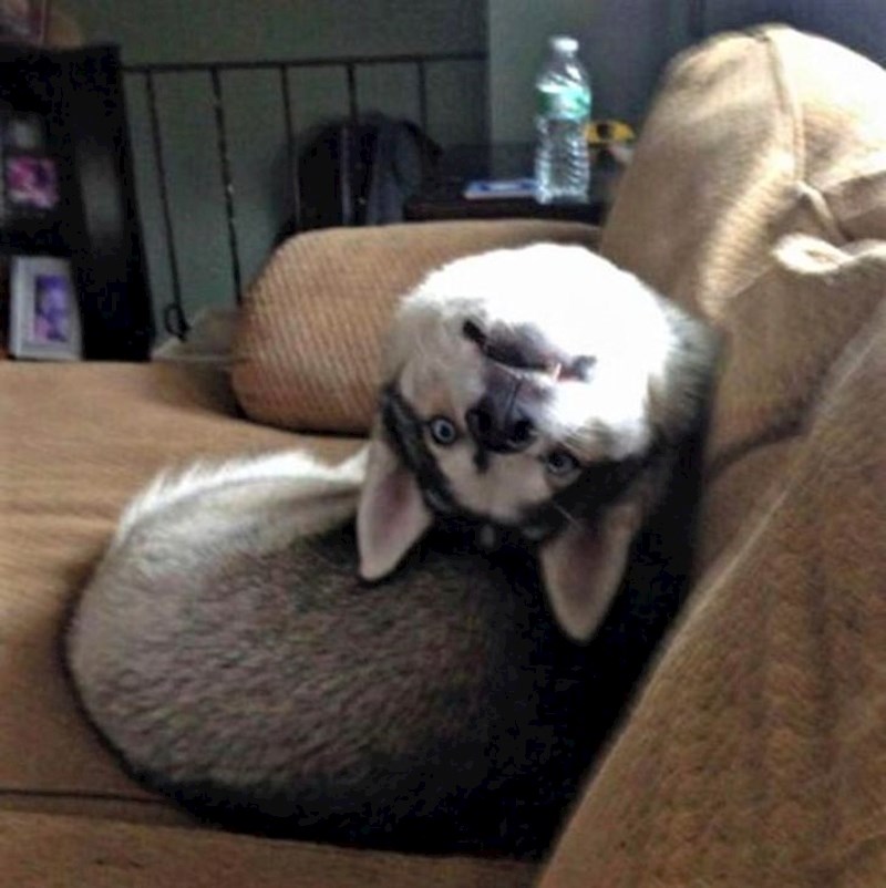 "Ovako me promatra..."