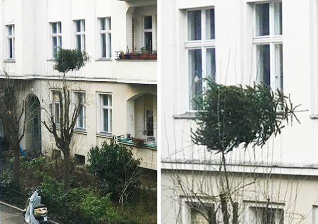 Pokušao je baciti božićno drvce sa balkona