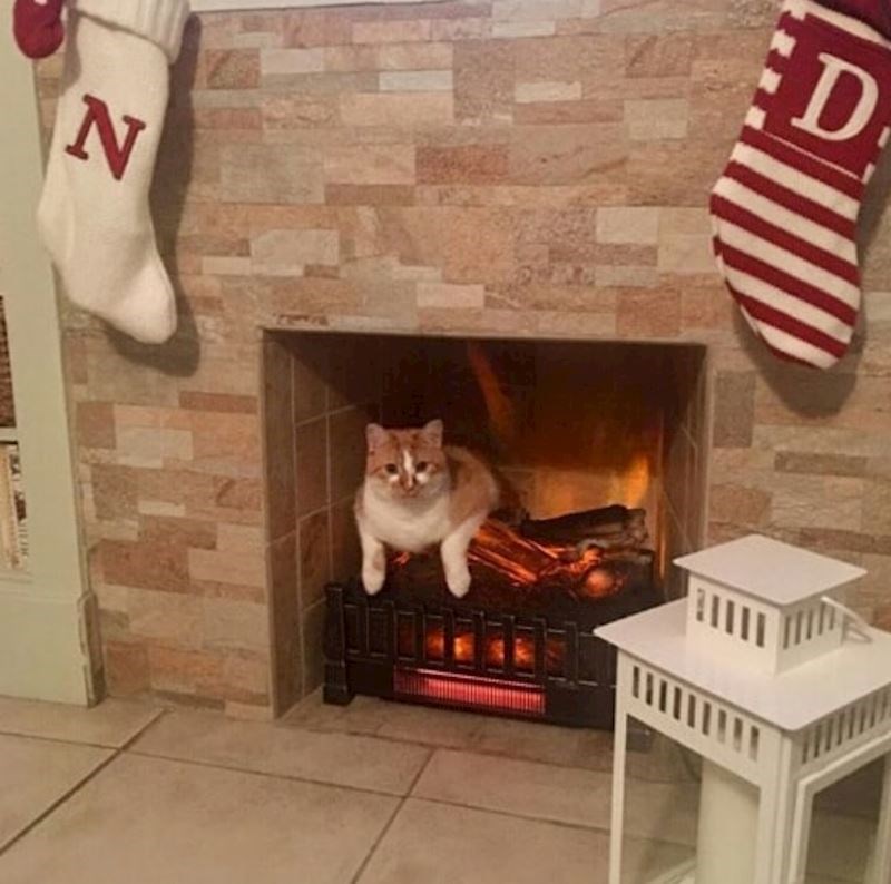 Preostalo joj je još ionako osam života...