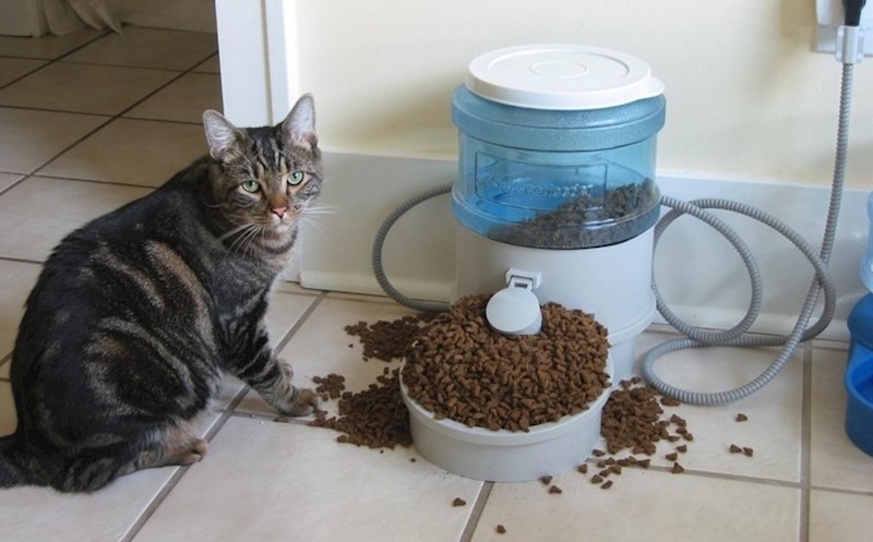 "Udebljao se, pa smo mu kupili hranilicu koja izbacuje male količine hrane na dodir šapicom..."