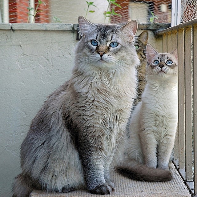 Ponosna mama :)