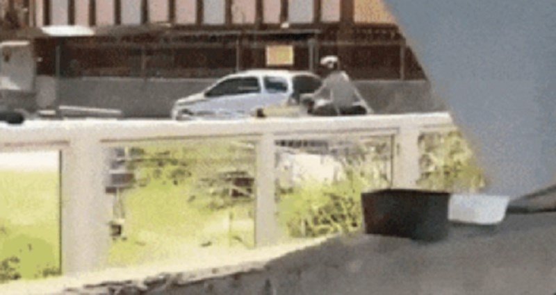 Ljudi su iz auta ugledali smiješan prizor, pogledajte što su slikali