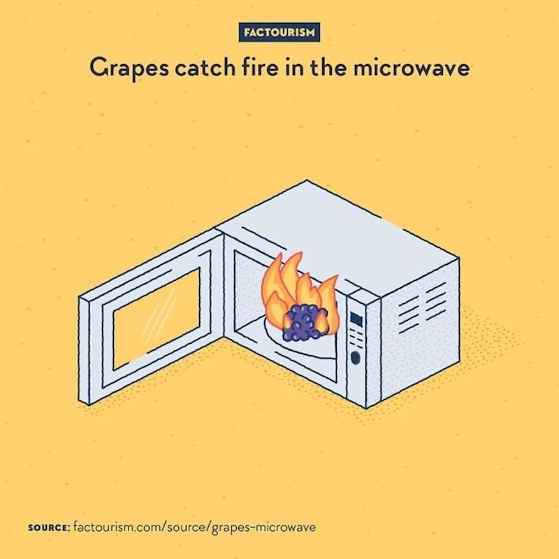 Ako stavite grožđe u mikrovalnu, ono će se zapaliti