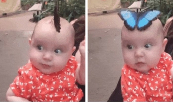 Preslatkoj bebici je na glavu sletio ogroman leptir, njeni roditelji su sve snimili