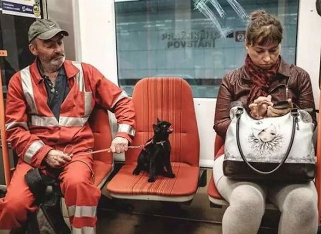 Opasna sam!