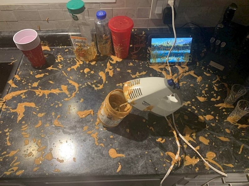 "Pozdrav najglupljoj stvari koju sam ikad učinio u životu..."