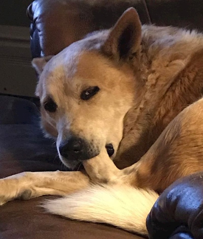 "Tipična poza prije spavanja..."