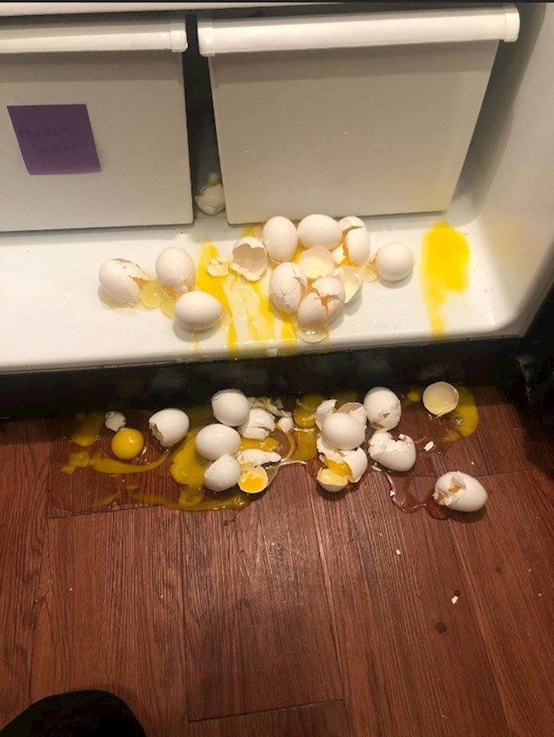 "I dalje mislite da je vaš dan loš?"