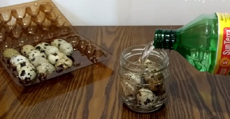 Ovaj video pokazat će vam što se dogodi kada jaje ostavimo u octu