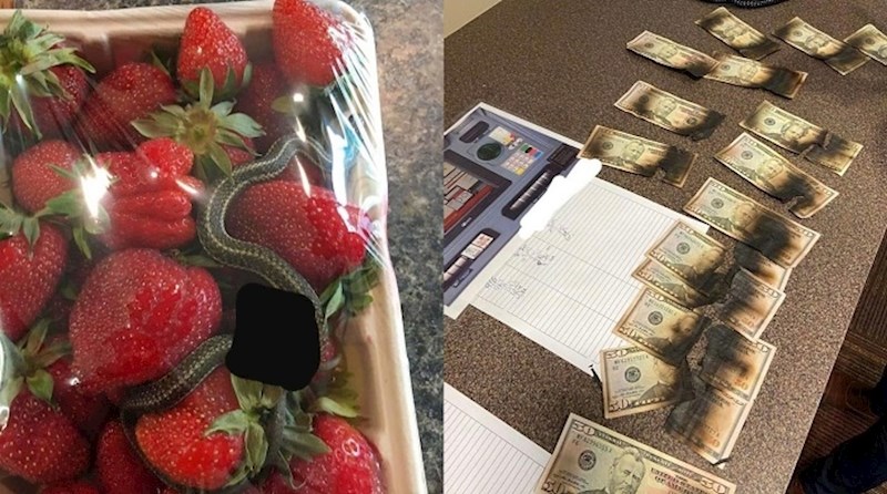 Fotografije ljudi kojima je karantena pala puno teže nego vama