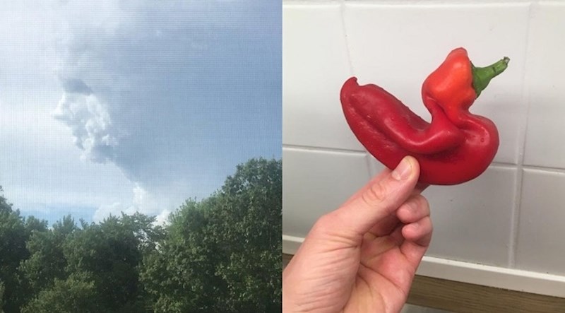 14 puta kada je priroda zadivila ljude koji su mislili da su već sve vidjeli