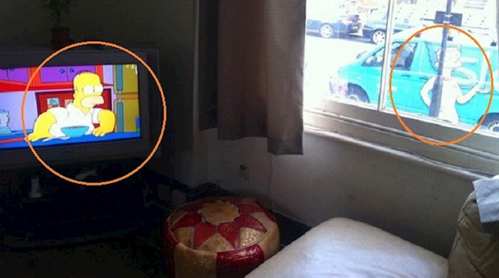 17 fotki snimljenih u najboljem trenutku