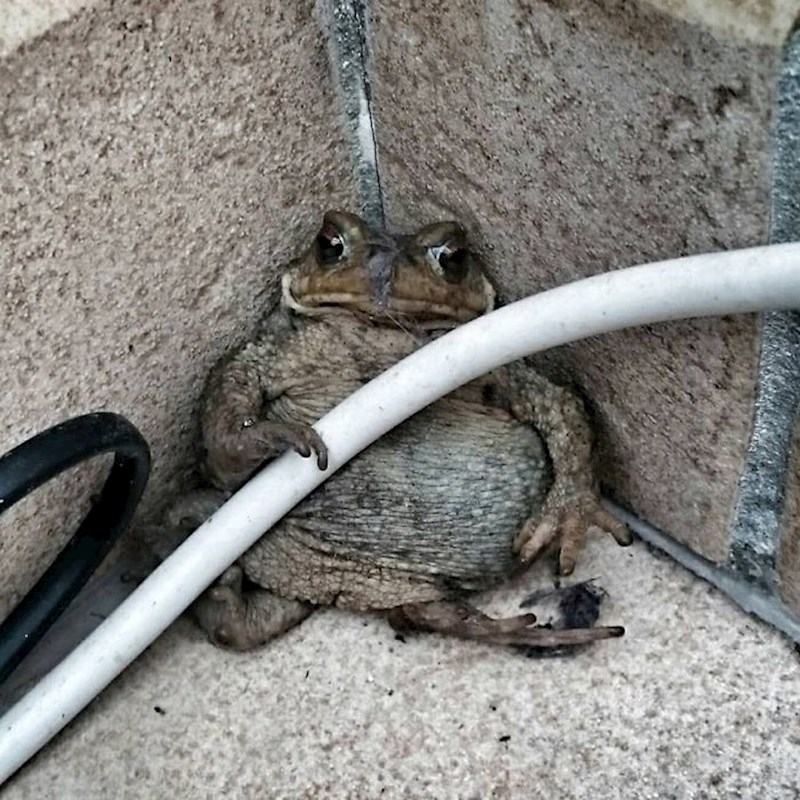 Svi mi nakon dobrog ručka: