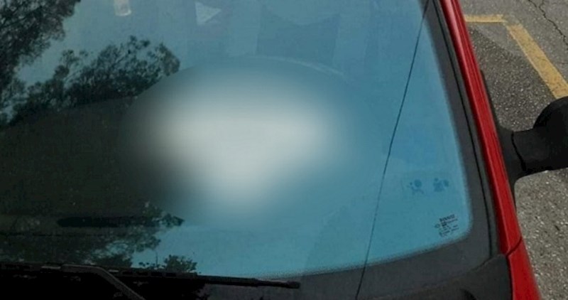 Ljudi se smiju kako je ovaj Dalmatinac ukrasio automobil, ovo se ne viđa često