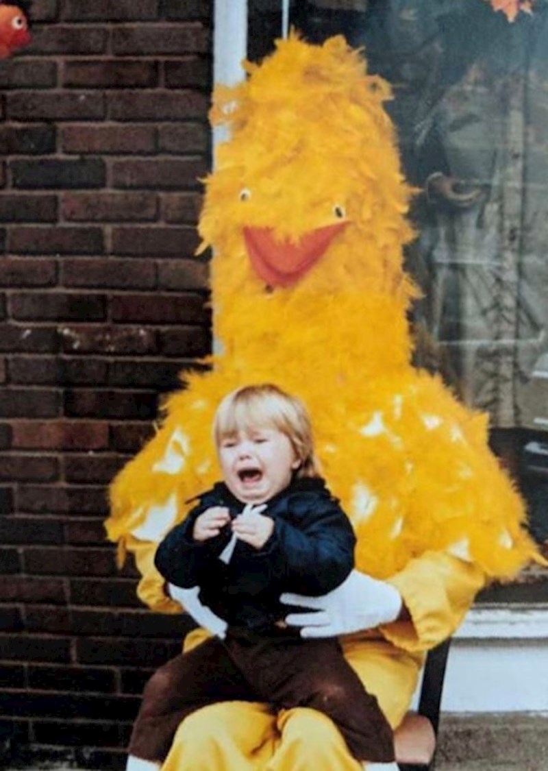 Ova ptica zbilja izgleda strašno