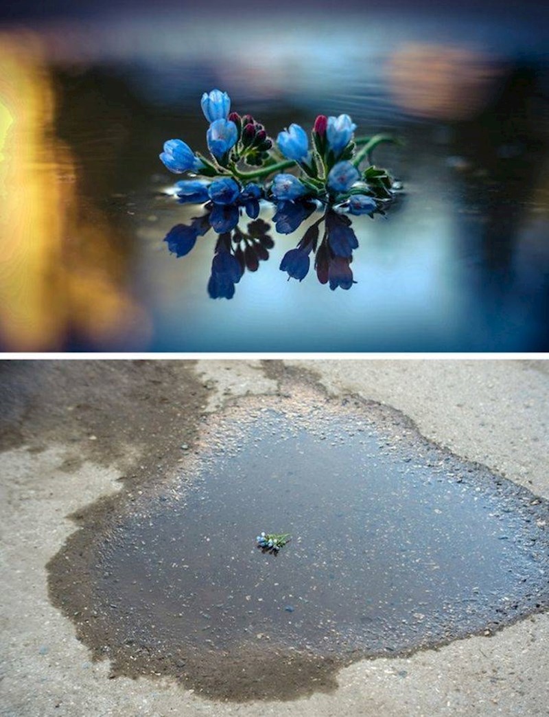 Wow. Ovo je umjetnost