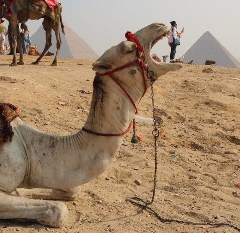 Deva ima dobar apetit :)