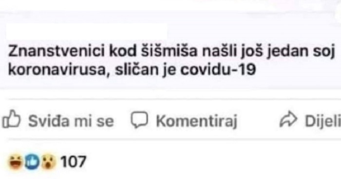 Netko je ispod ovog članka o koronavirusu ostavio komentar i nasmijao sve na Faceu