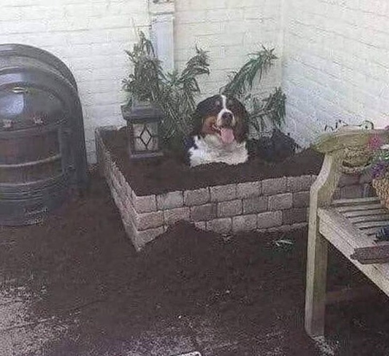 "Ne trebaš cvijeće, ja sam tvoj cvijet!"