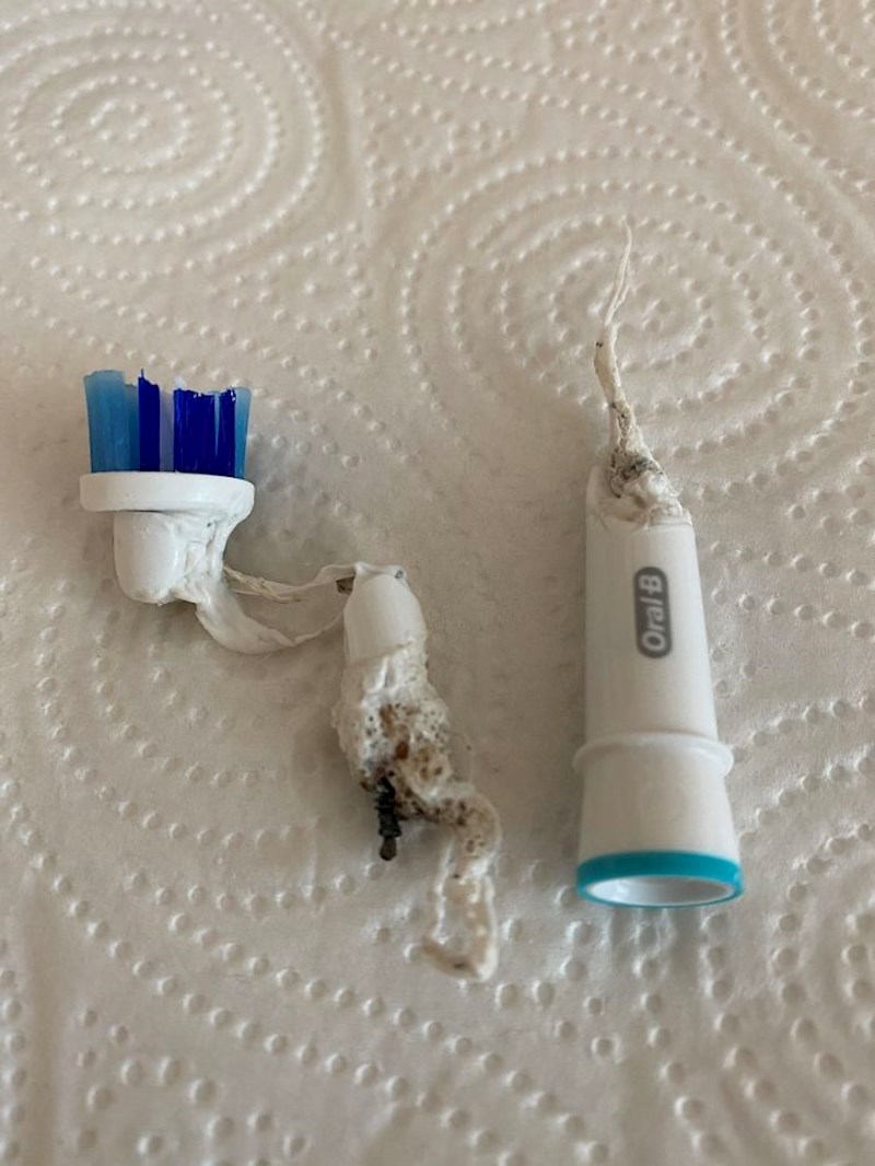 Još jedan predmet koji je netko pokušao dezinficirati u mikrovalnoj...