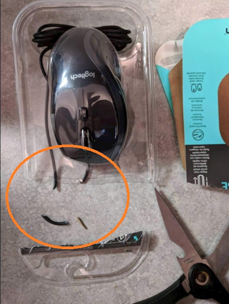 Svaka čast majstore!