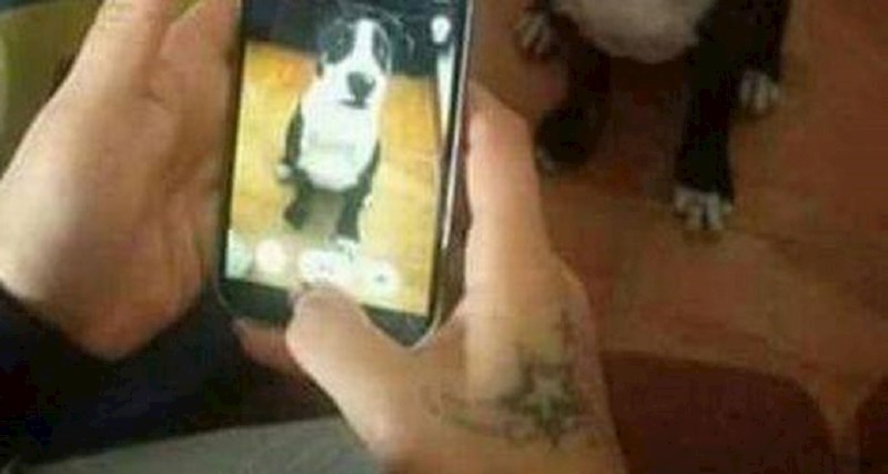 Pomoću ovog trika uspio je uhvatiti savršene fotke svog psa