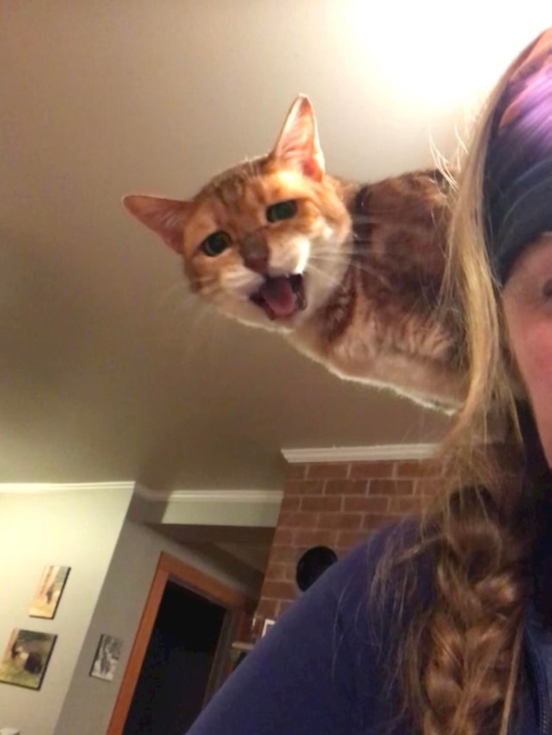 "Nije jela sat vremena"