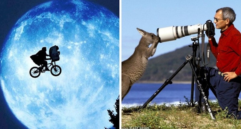 6 stvari u koje ljudi još uvijek vjeruju, iako su znanstveno opovrgnute