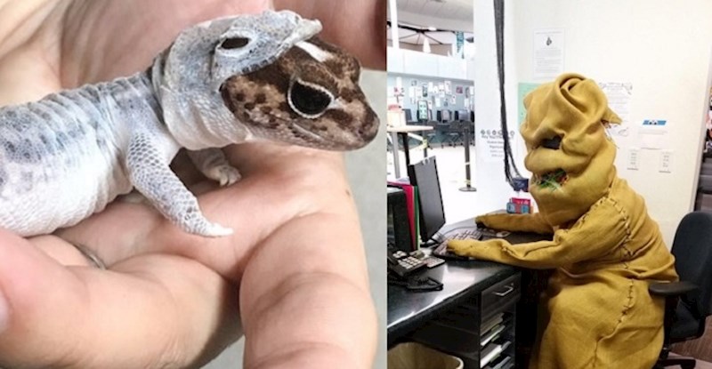 Ovi ljudi podijelili su najčudnije fotke koje su uspjeli uslikati