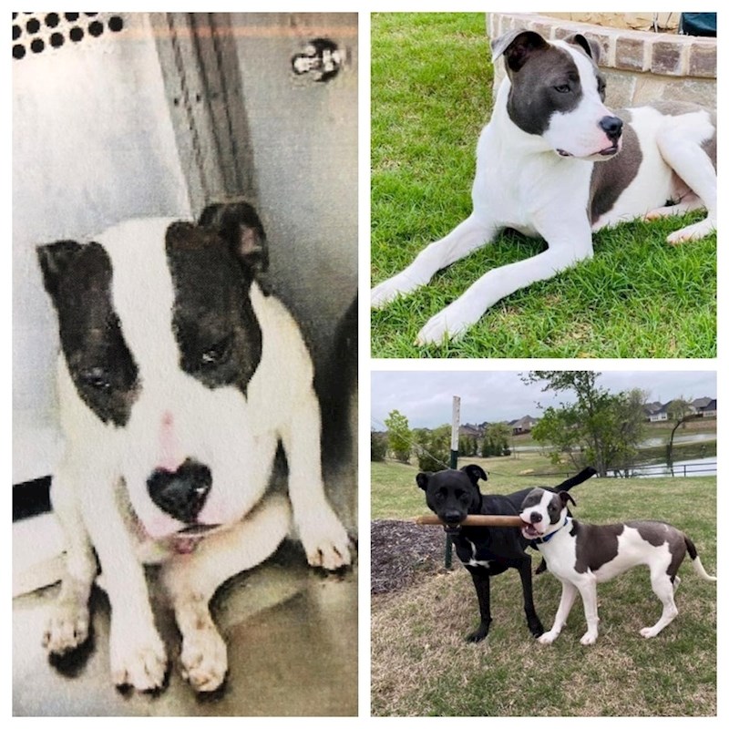 "Prije i nakon što su on i njegova sestra usvojeni"