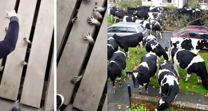 18 puta kada su stvari otišle totalno u krivom smjeru