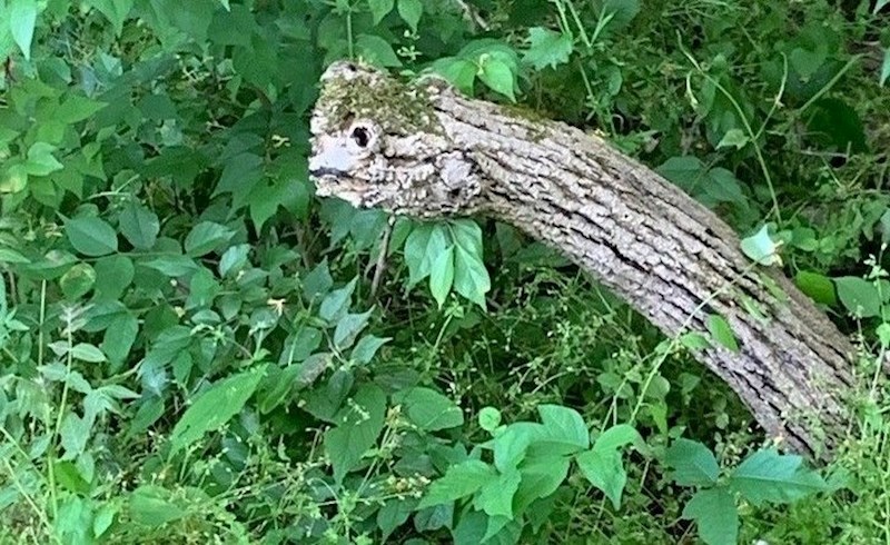 "Skoro mi je srce stalo!"