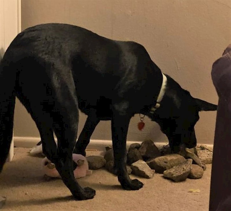 "Fascinirana je kamenjem, ovo je njena kolekcija"