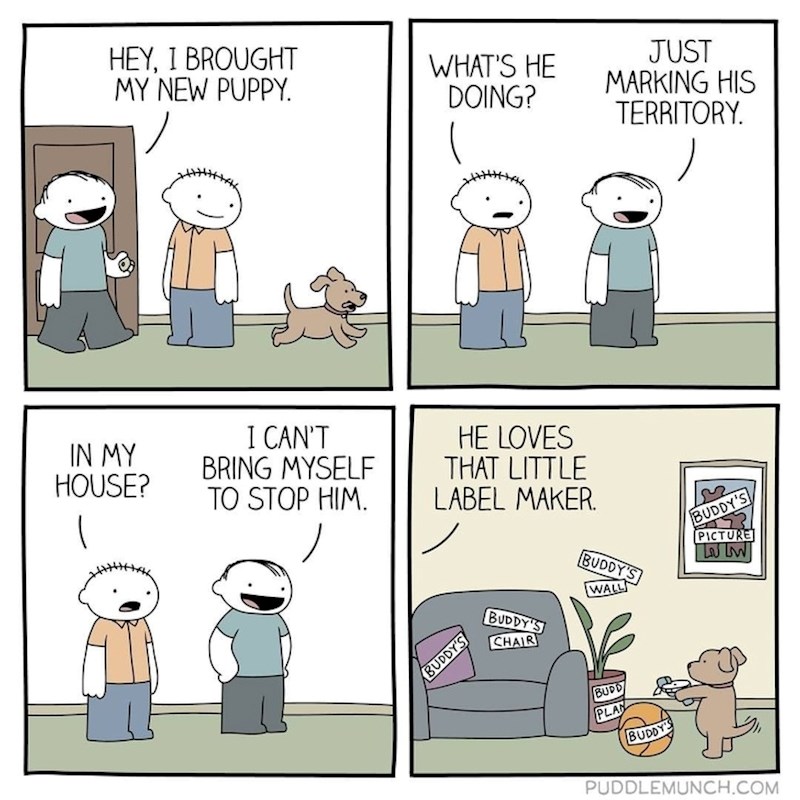 Pas obilježava svoj teritorij...