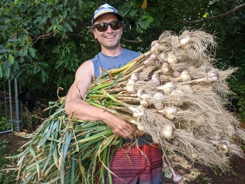Ono kad imaš češnjaka za cijelo susjedstvo...