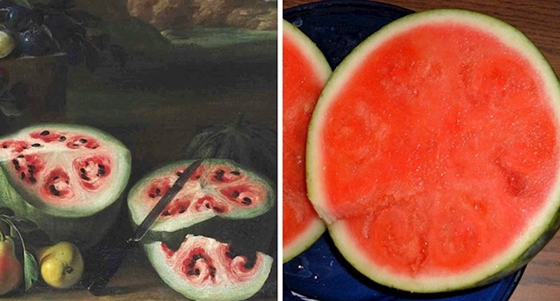 Ovako su 7 vrsta voća i povrća koje redovito konzumiramo izgledali prije kultivacije