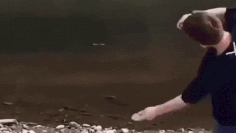 Lik je s par kamenčića oduševio internet, ovo morate vidjeti