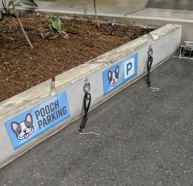 Parking za pse