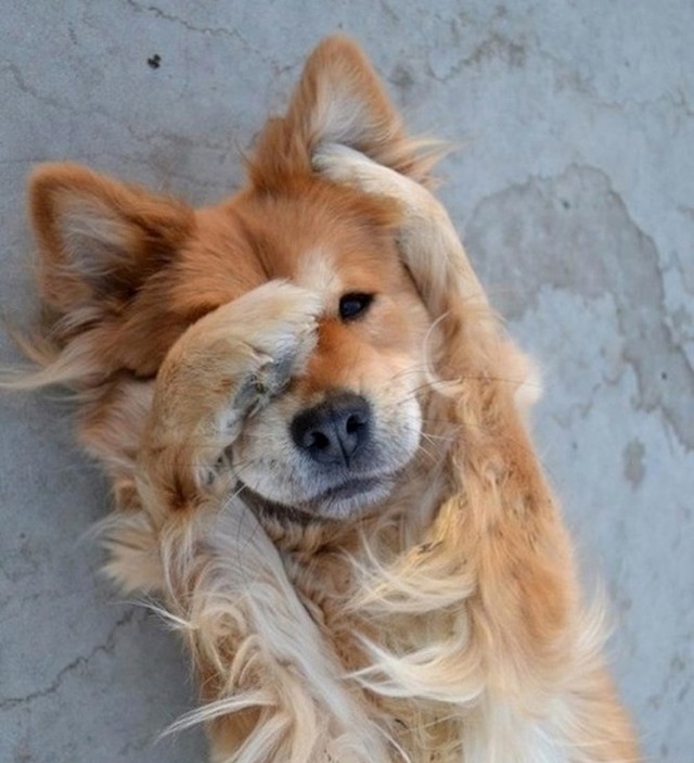 Izgledam li poput modela?