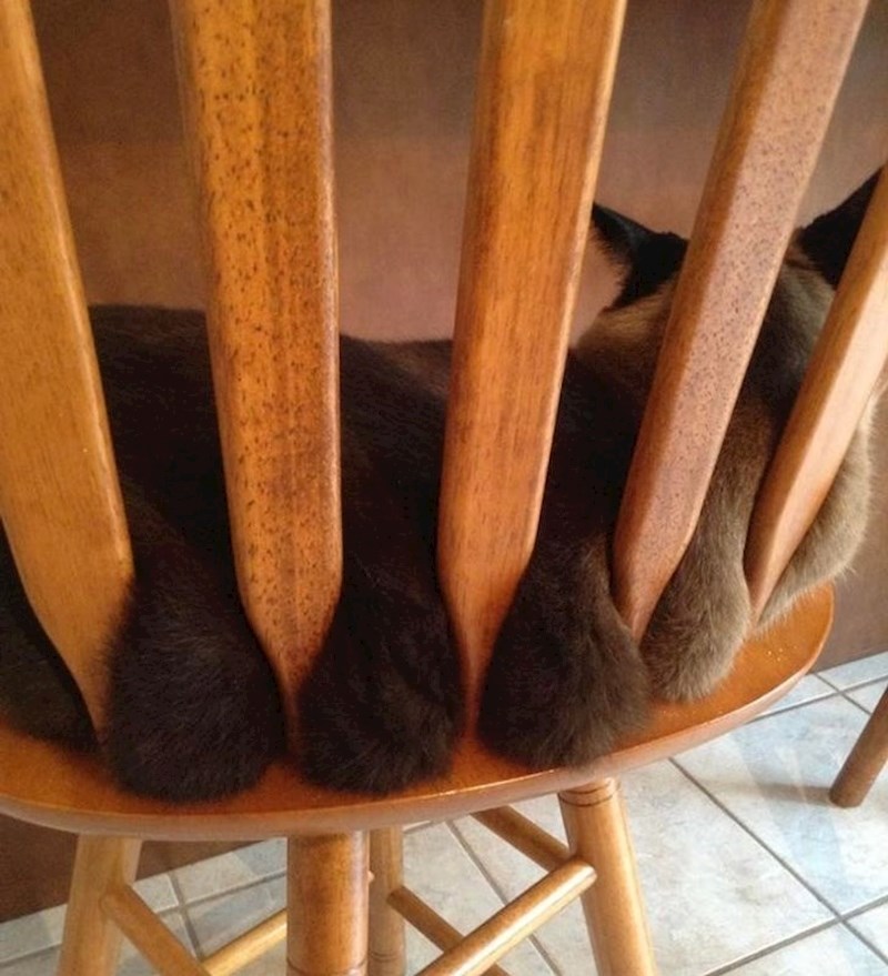 Ponosna na svoje obline